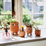 Mini terracotta plantenpotje